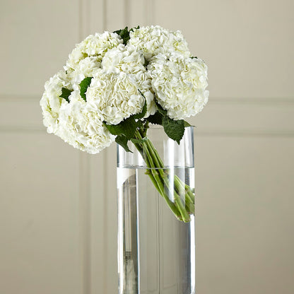 White Hydrangea Hand-Tied Bouquet –  Lumaya Florals, Rock Hill SC