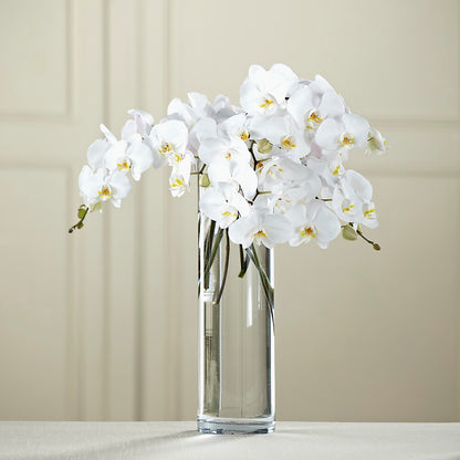 White Phalaenopsis Bouquet –  Lumaya Florals, Rock Hill SC