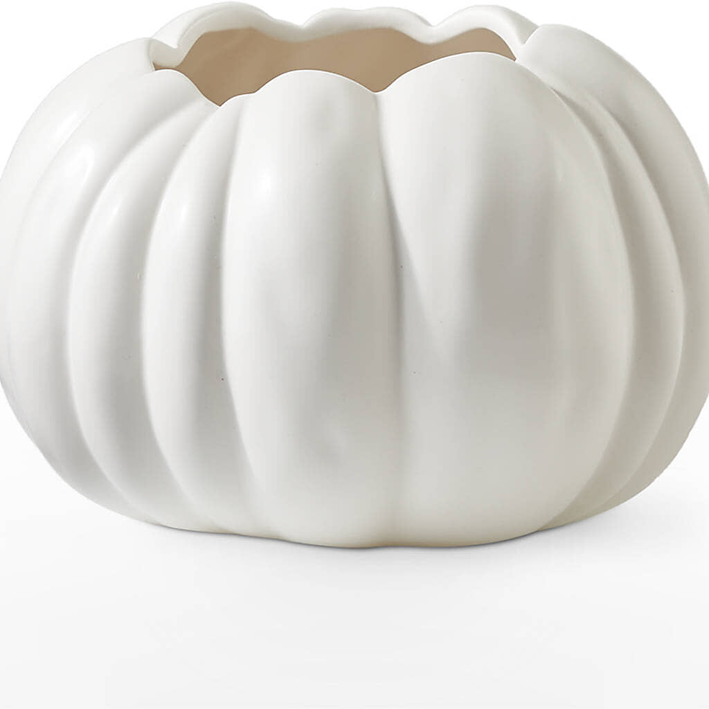 Pumpkin to Talk About Bouquet –  Lumaya Florals, Rock Hill SC